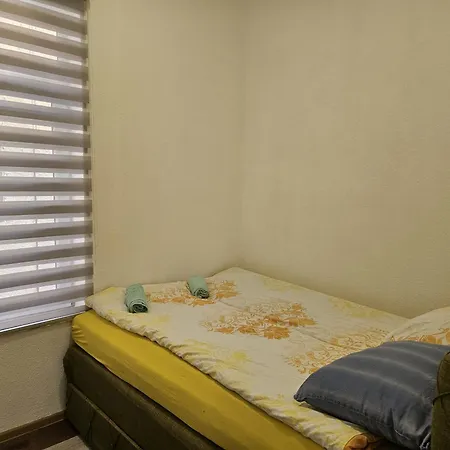Vista *